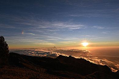 《地下城与勇士：决斗》“蓝拳圣使”角色DLC宣布3月14日上线